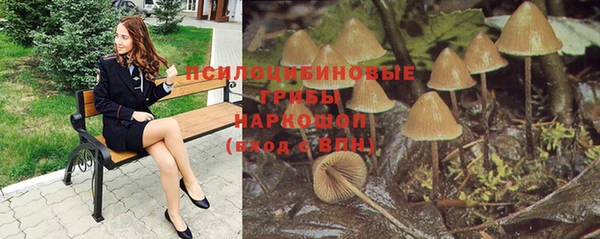 ПСИЛОЦИБИНОВЫЕ ГРИБЫ Заволжск