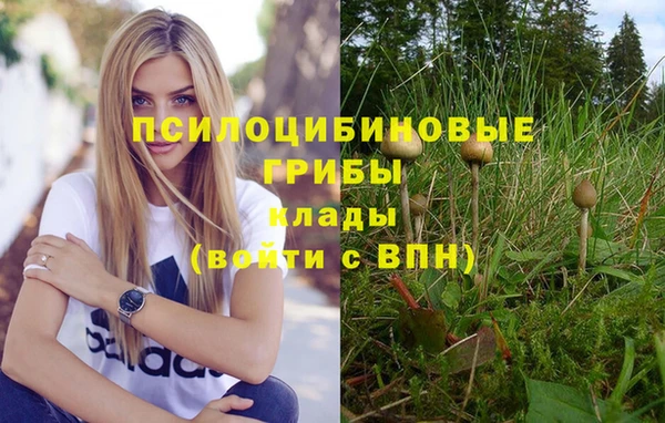 метамфетамин Заводоуковск