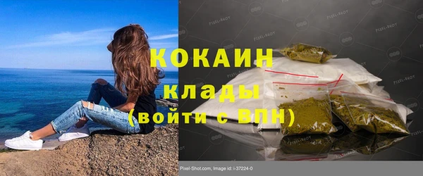 ПСИЛОЦИБИНОВЫЕ ГРИБЫ Заволжск