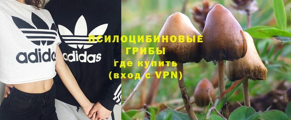 ПСИЛОЦИБИНОВЫЕ ГРИБЫ Заволжск