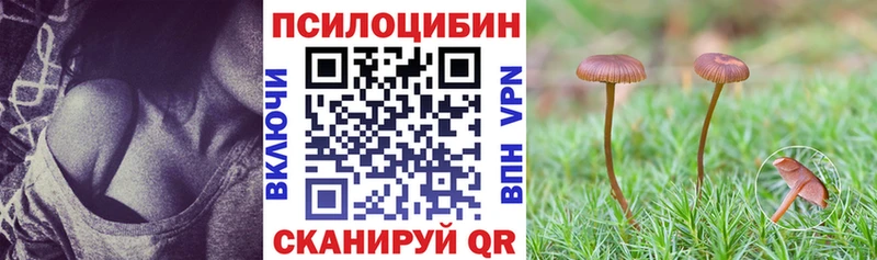 Галлюциногенные грибы ЛСД  Купить где  Трёхгорный 